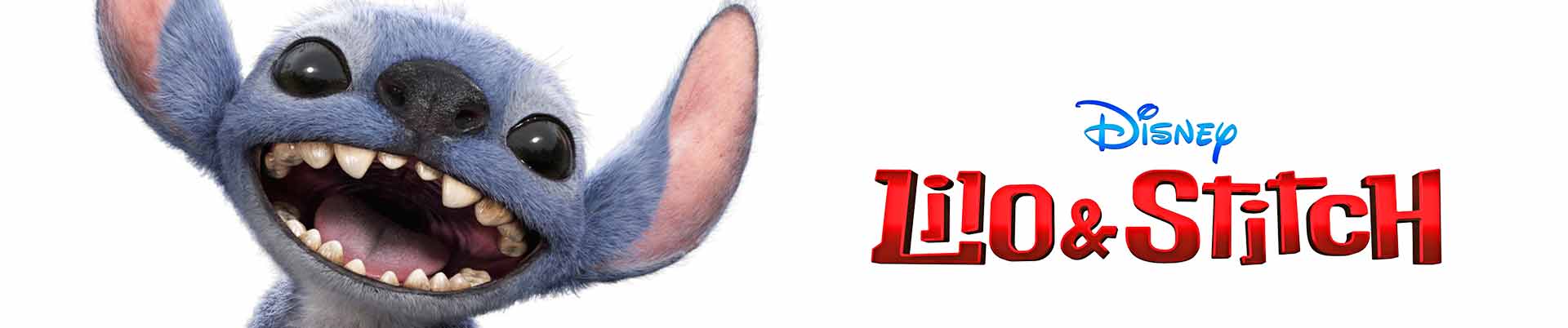 imagen banner 4